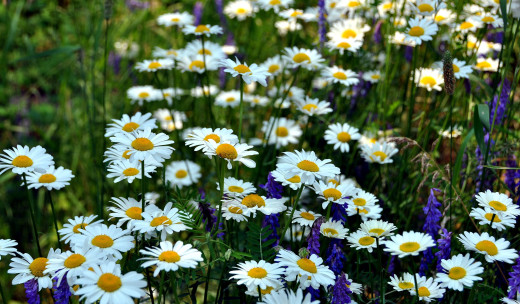 638478 (a): :3400x1985